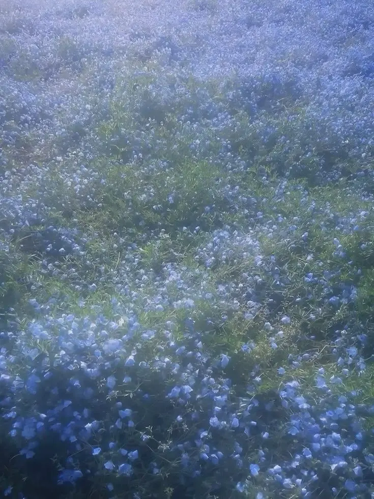 0patin_eTa의 김정호