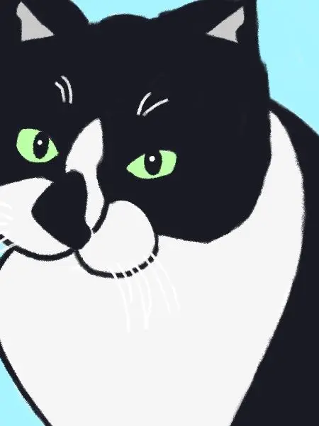 ImcatLOVE_CAT7777O78O778787777의 99나이트 더 포레스트