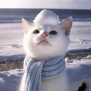 BleakPiano2283의 KQ에 들어간 당신