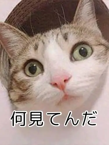 PoeticBoots0812의 大魔王5人、堕とせるのか？