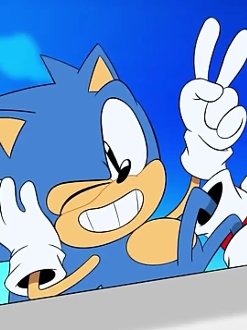 TidyFace1999의 소닉 더 헤지혹