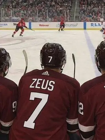 septemberuser의 Hockey Team