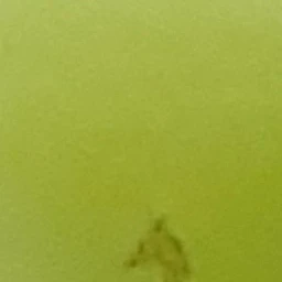 妻、小学生になる。