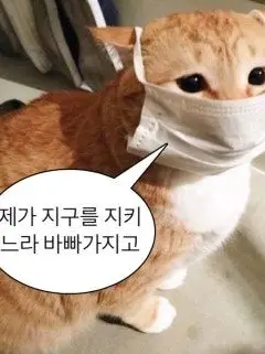 nemosemo_Pokemon의 {중증외상센터 전생체험}