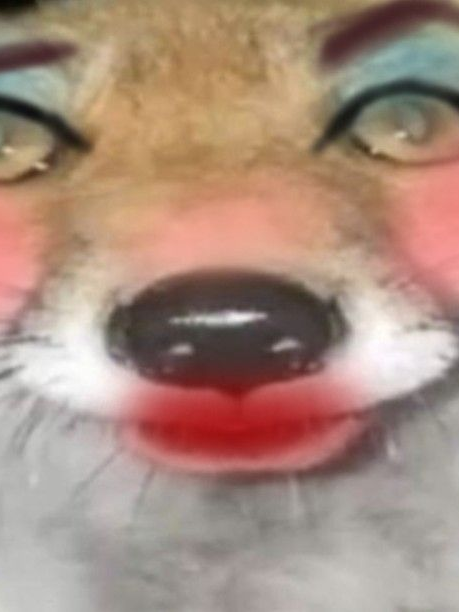 변칙성 동물병원!(여우 있) 대표 이미지