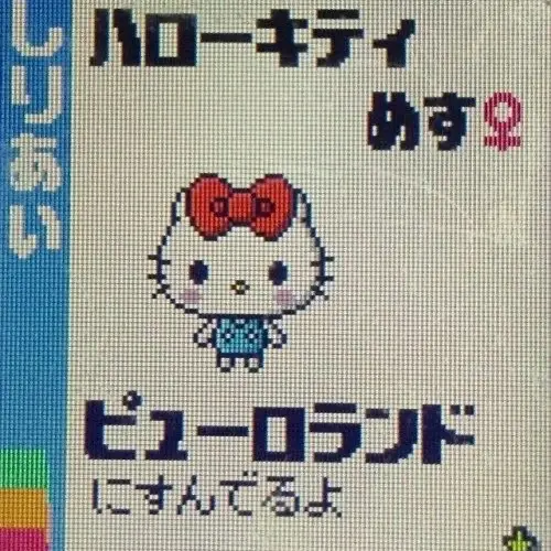 AgedRelax9024의 꽃보다 JCC