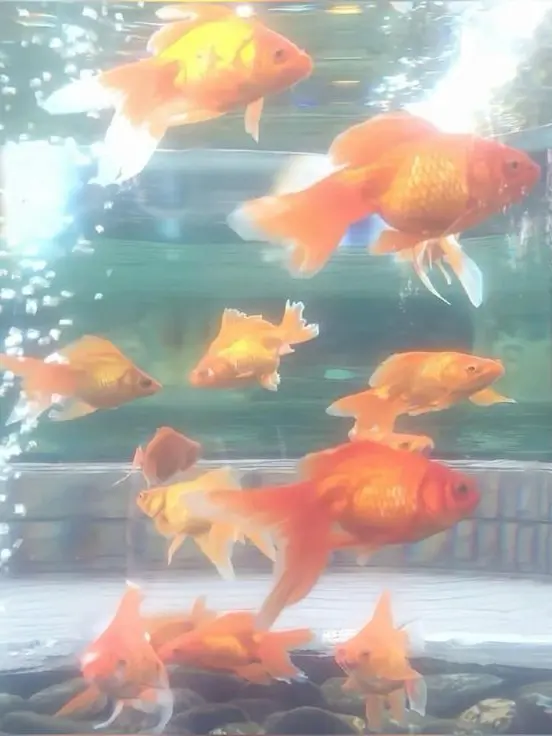 FierceOcean1917의 내가 가둬둔 상자속에서