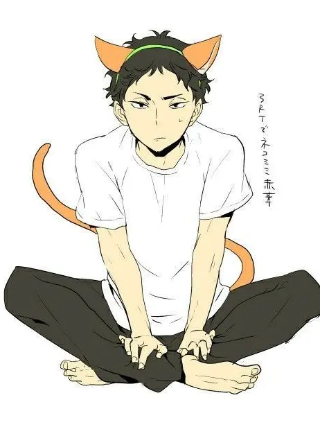 HAIKYI_ii의 고양이로 만들겠어!!!(?)