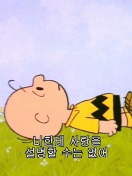 왜 너가 내눈에 보일까 대표 이미지