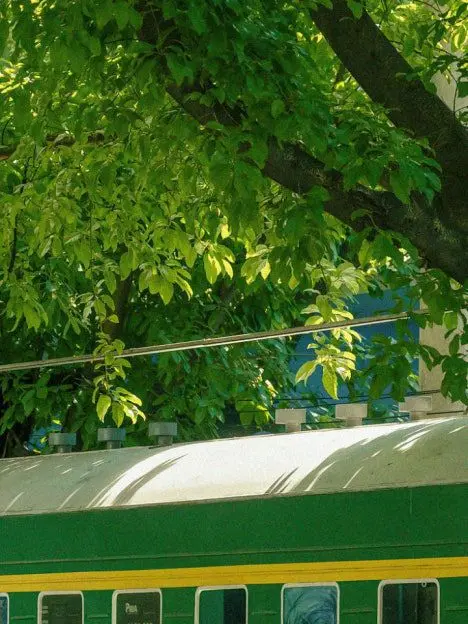 0522133117의 미수반에서 공룡과 연애하기