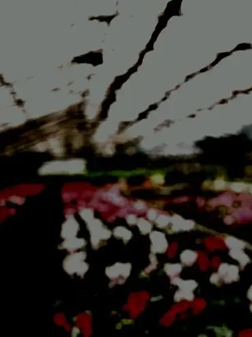 799nd0m.의 주의, 주의! 부패주의.