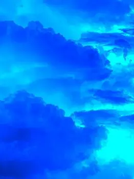 nekomaru2024의 ソウエイとルーレット生活！