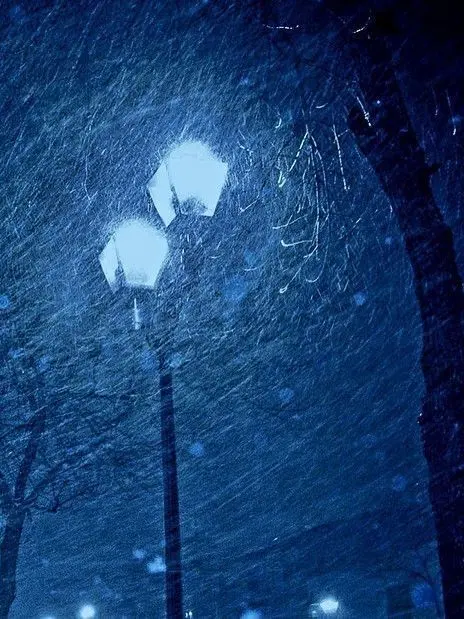 kim_Yan_sae의 国見明