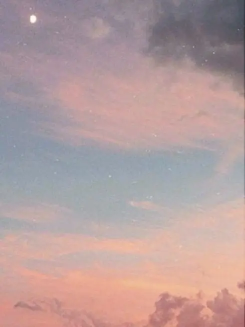 WidePika1344의 팀대고의 수학여행!! 근데 여우가!?