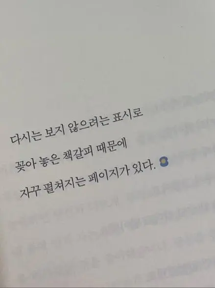 Meili._0의 산 속, 요정.