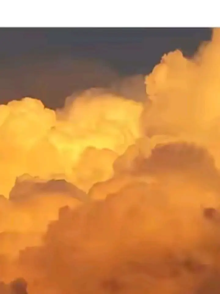 SoftWell6725의 Forsaken×ドリームコア