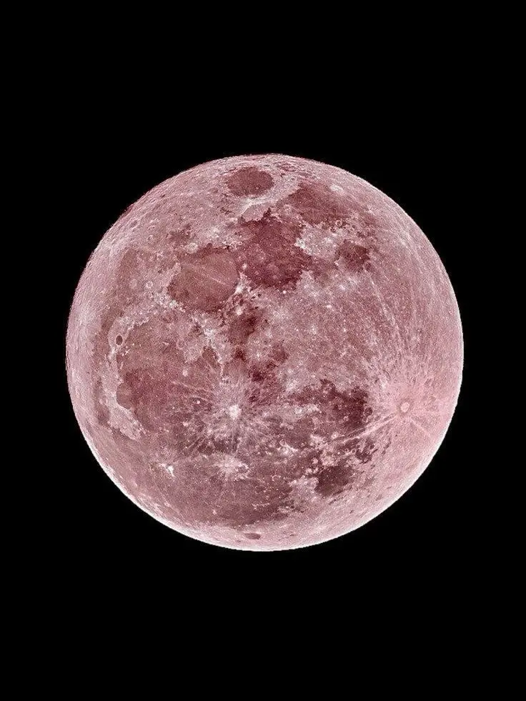 ProneOribi2027의 すれ違い