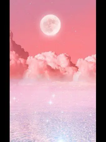 cat45880의 뜰팁조직