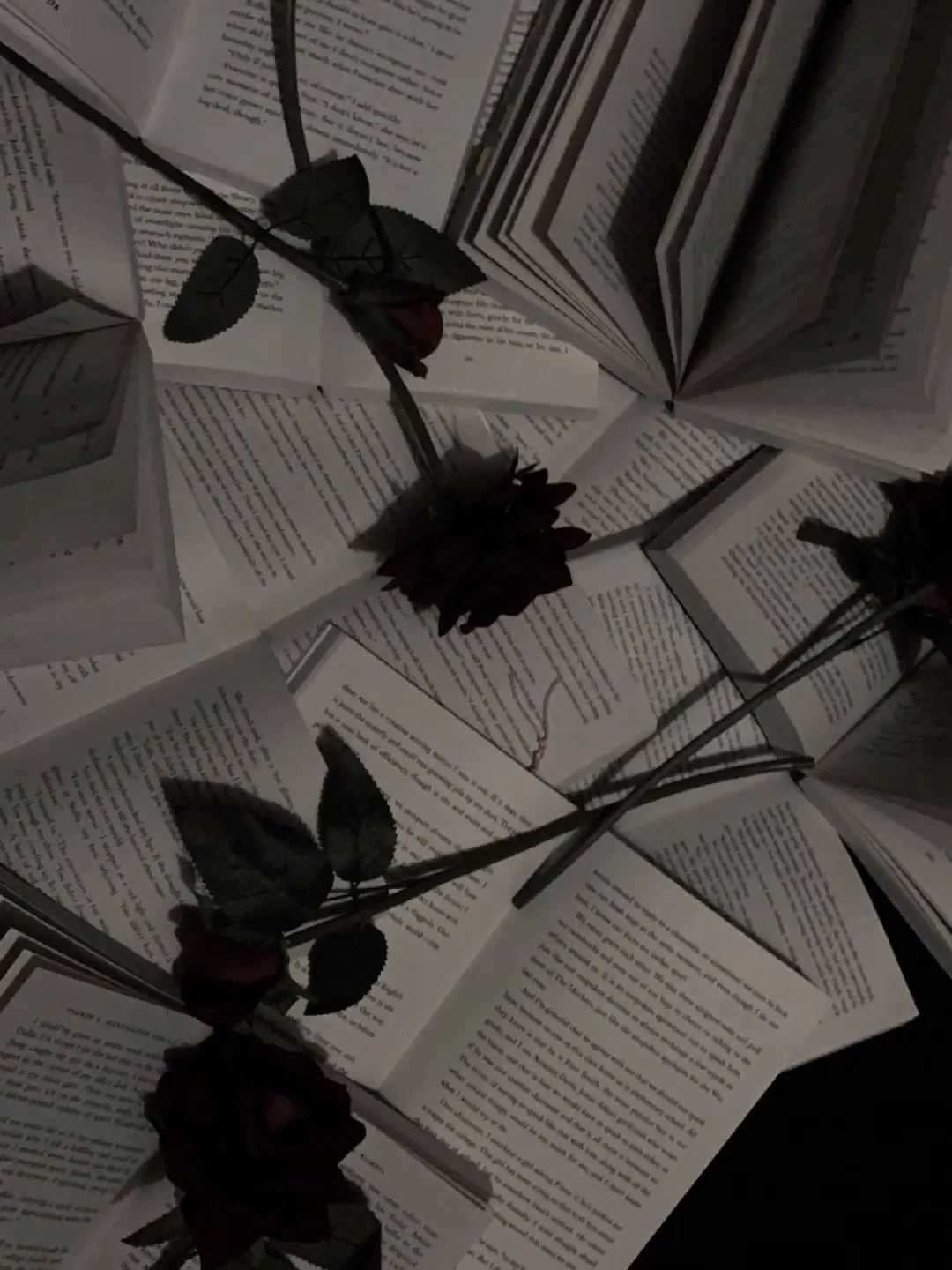 SlimyGuppy0372의 한재현