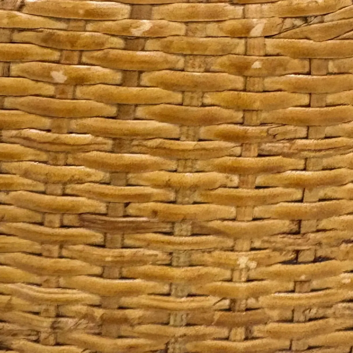 GruffSpice4806의 ㅅㅇㅈ