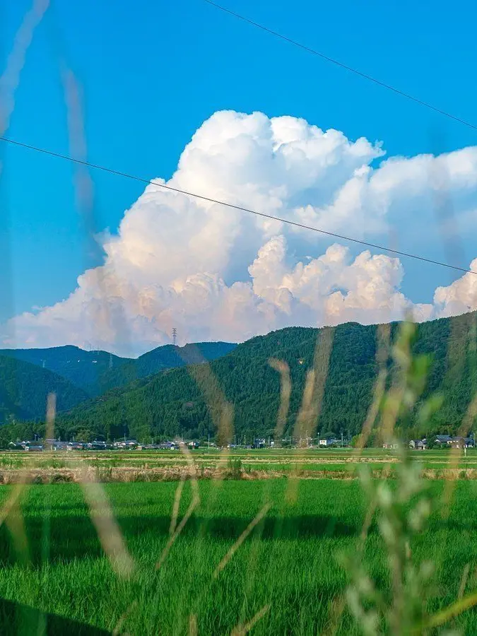 amachan의 みんなでなつやすみ