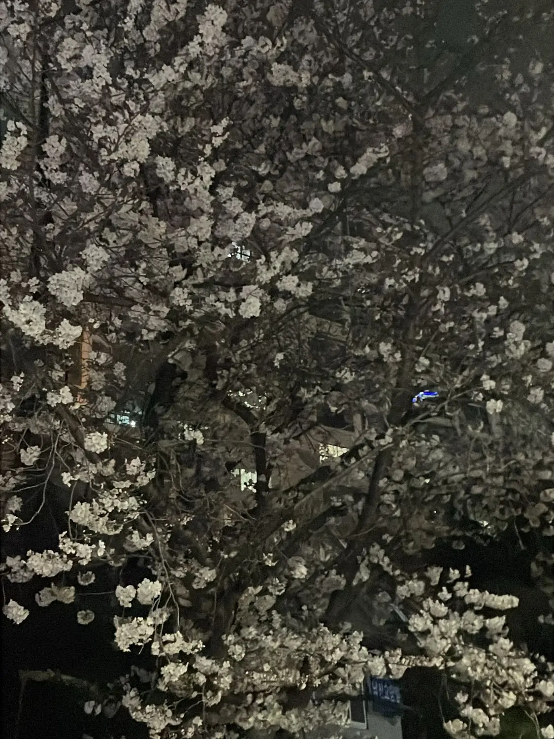 g1.ggx의 나한테 왜그러는데