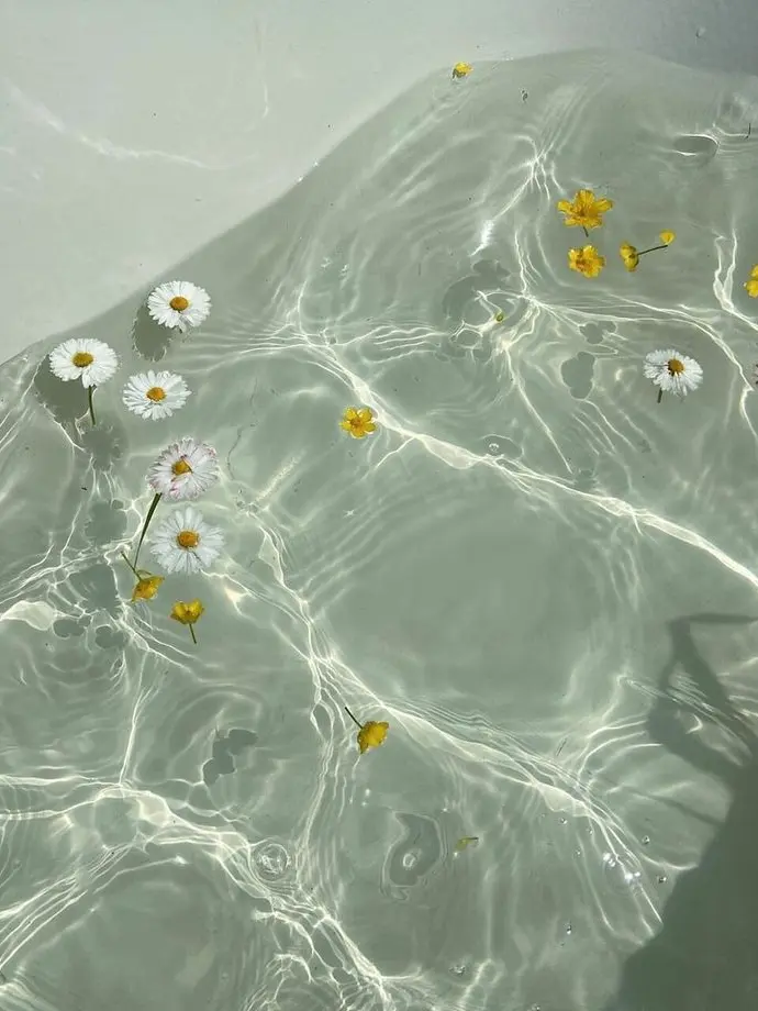 today_morning의 0423🍋