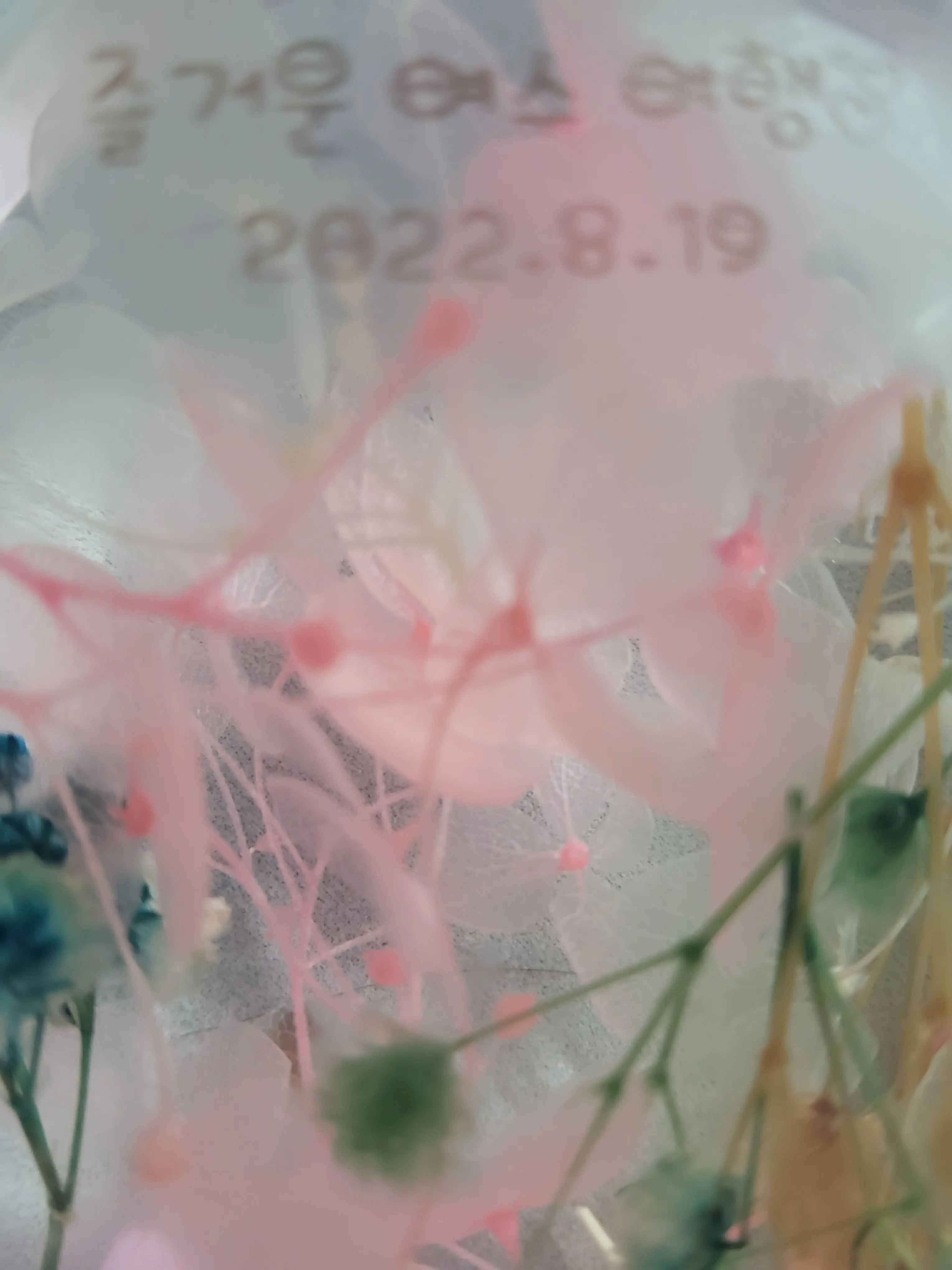 ABC67의 고고프렌즈 × 여수여행