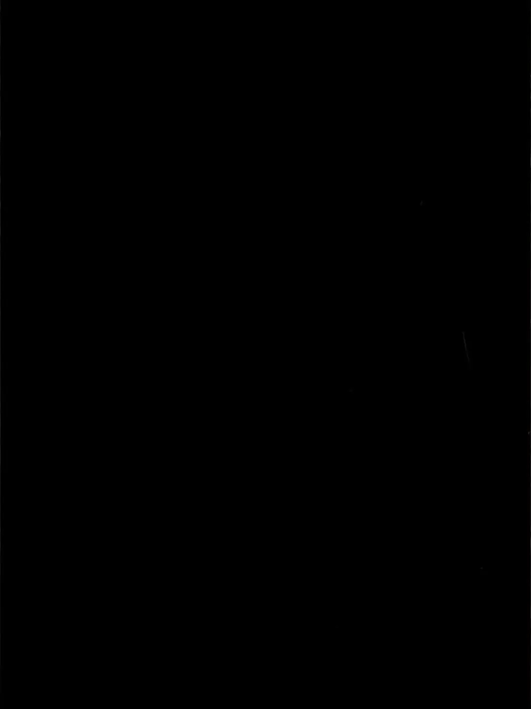 ChewyPlank2036의 비스트 조직