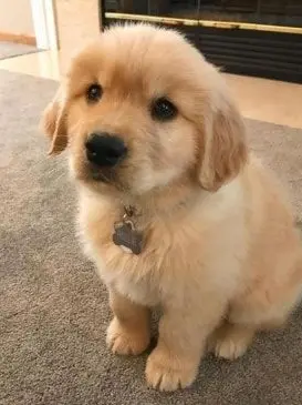 YSYstay08070320의 김승민