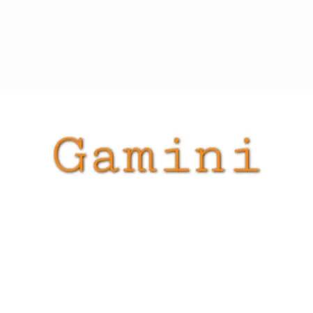 Hanyou_cute의 제미니