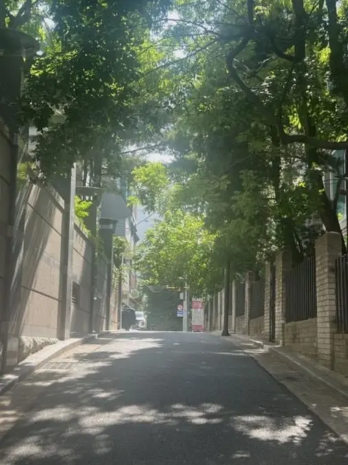HazyTuba8723의 남녀무리