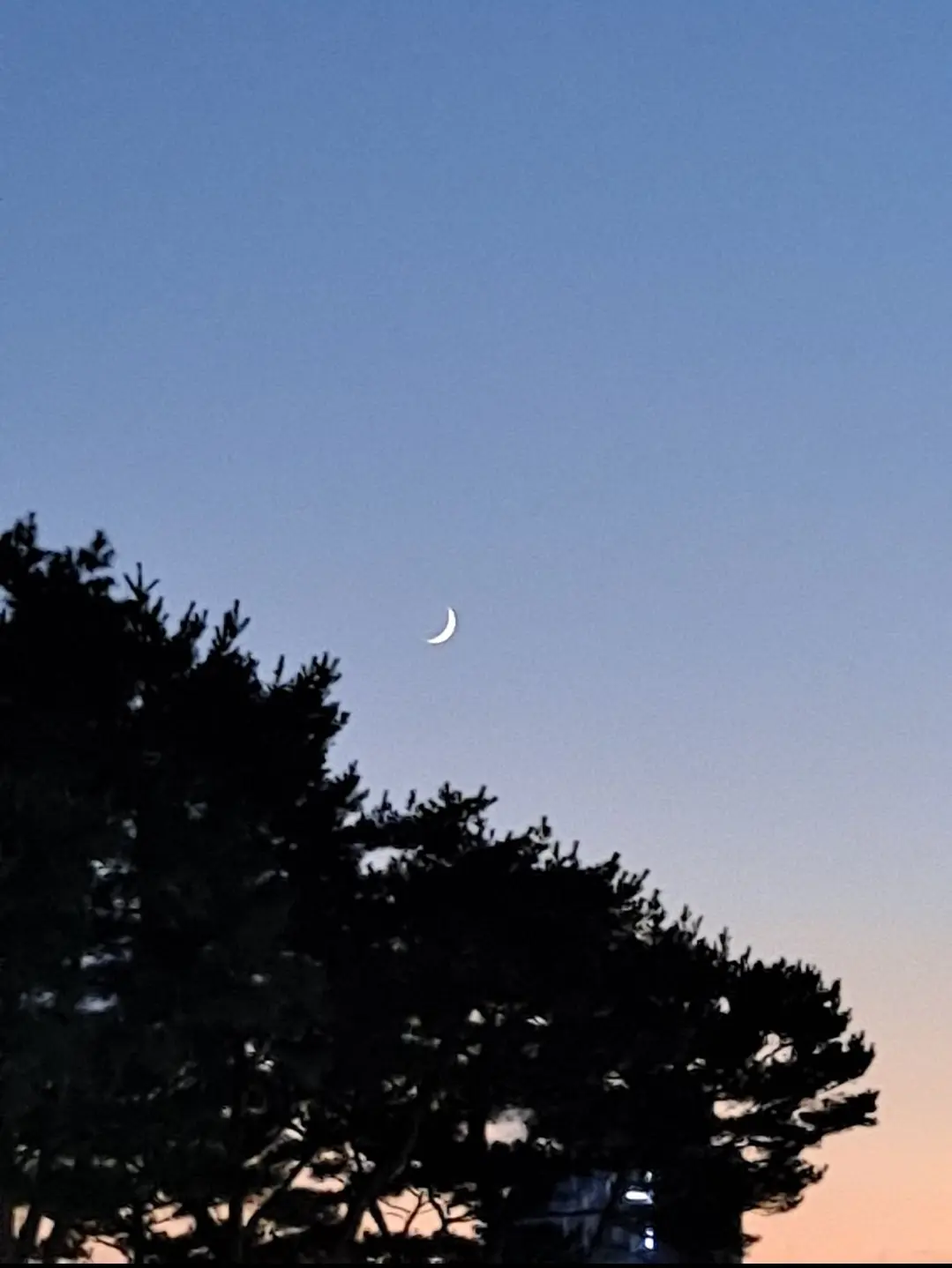 PrettyDrill0929의 버스 안 키링