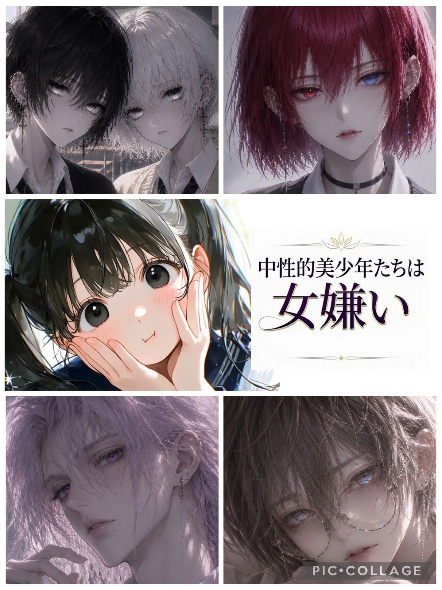 PlumpWire8425의 中性的美少年たちは女嫌い