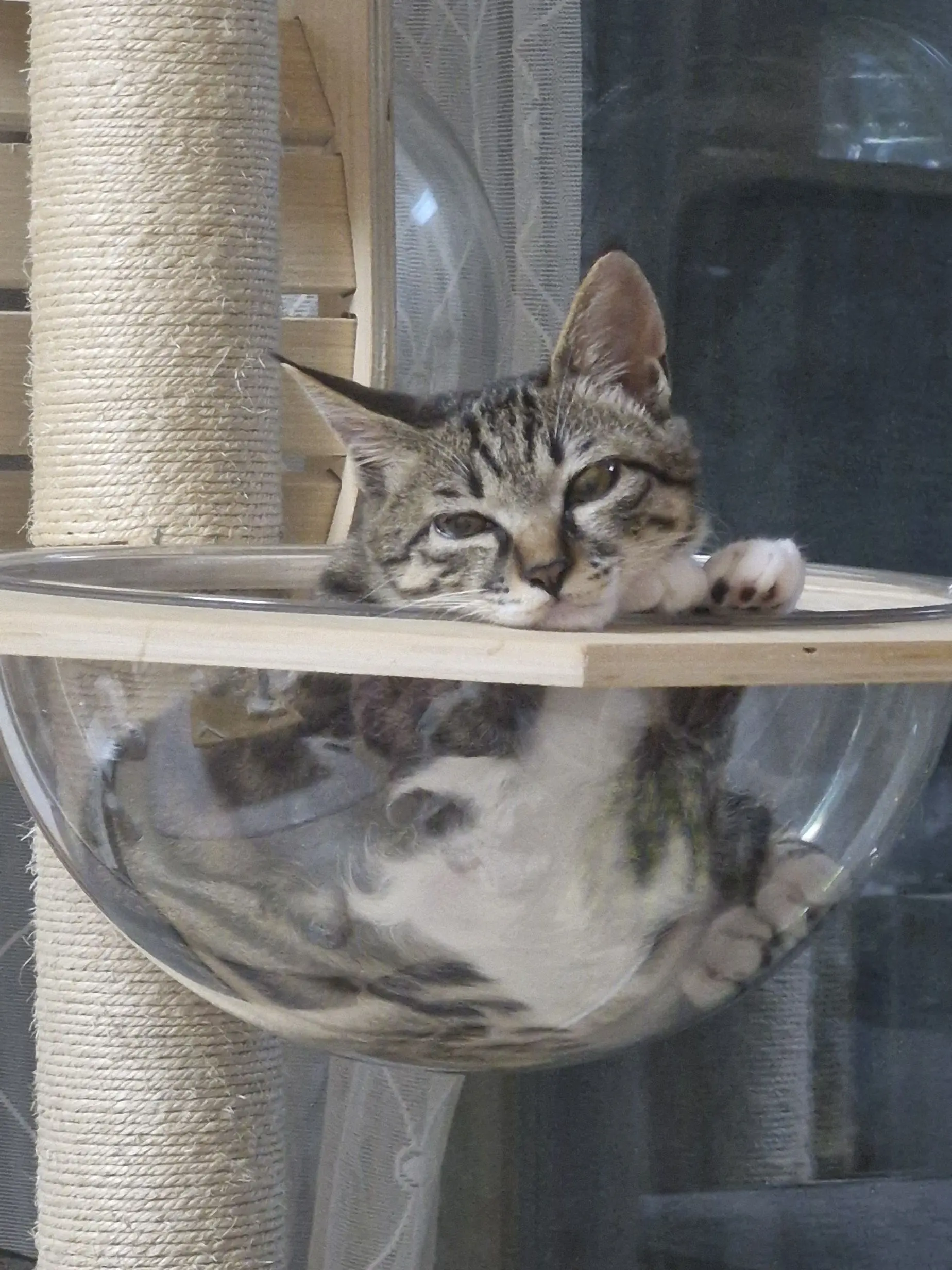 SpicyFlour5860의 고민 털어놓으세요~