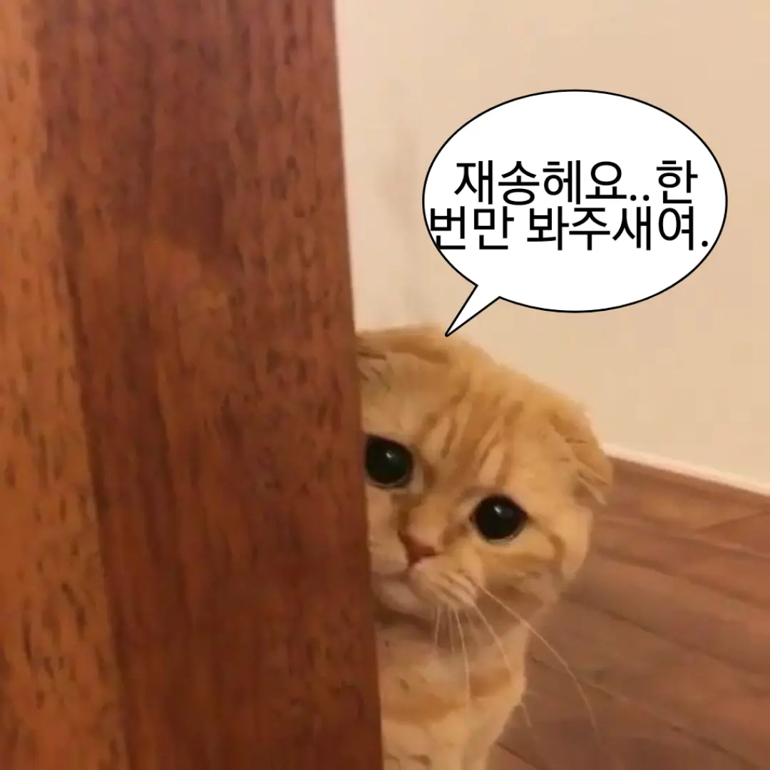 Meuu의 배신하는 팀나빠