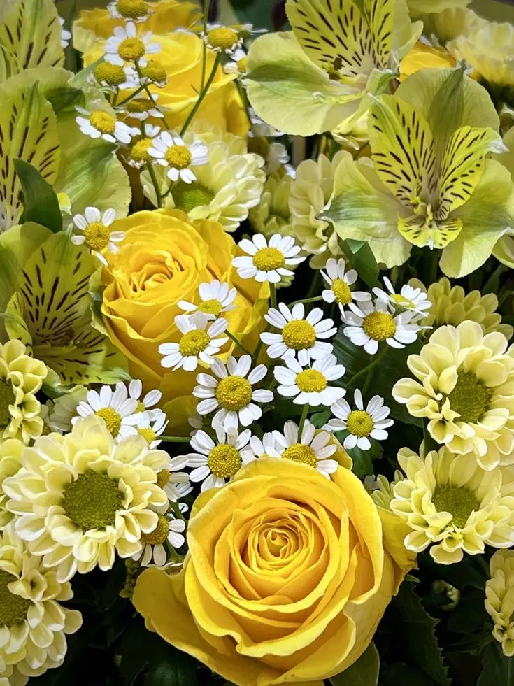 eringyu의 달과 별로 빛나는 순백의 사랑.