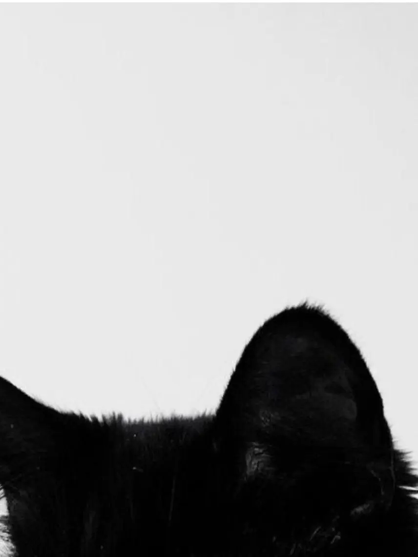 uxxxy628의 ^ ̳.  ̫ . ̳^‪‪❤︎‬