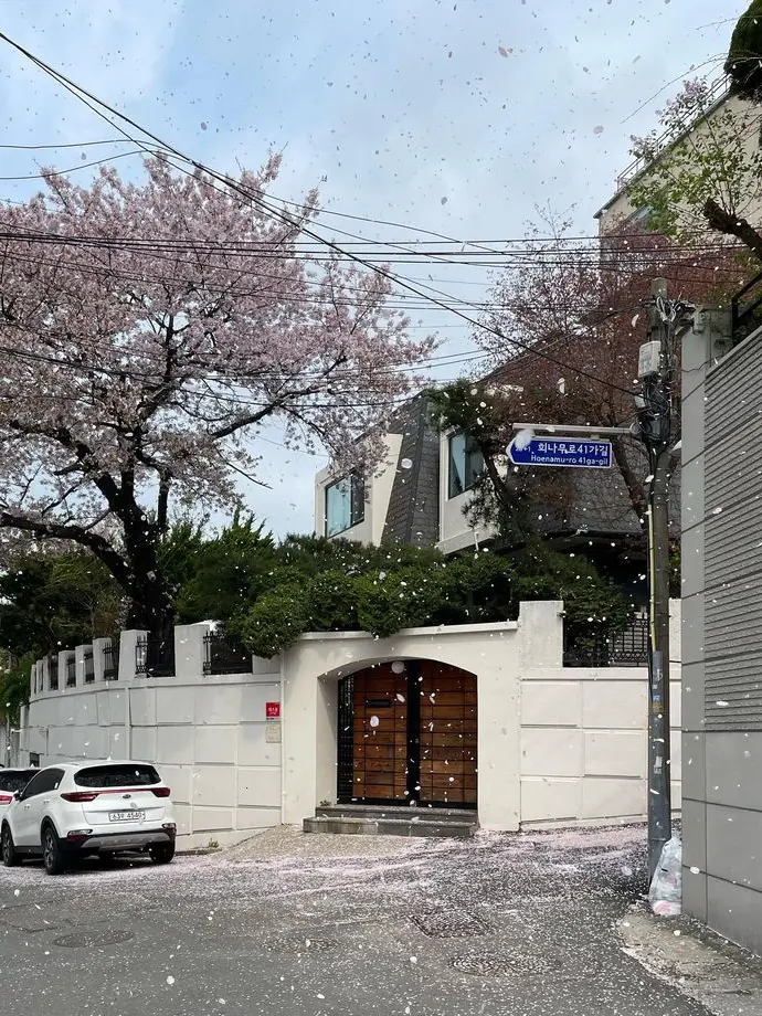 BulkyFear9529의 New parents ⬫‧₊˚ 🫧