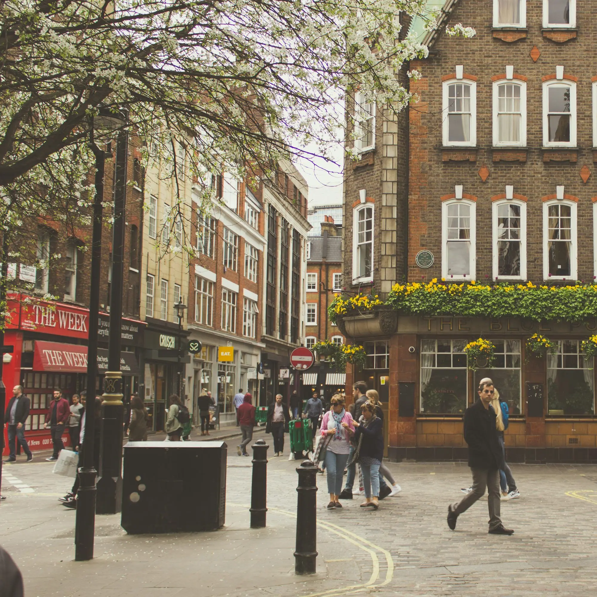 Vain_S.H.의 마이크로프트 홈즈