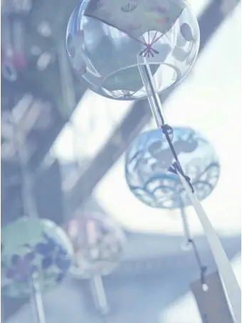 longding의 동갑내기 이로 💭