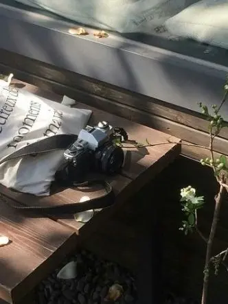 Paradise_001의 망상