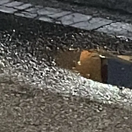 HardMucus0939의 옆 집 아저씨는 참 이상해-.