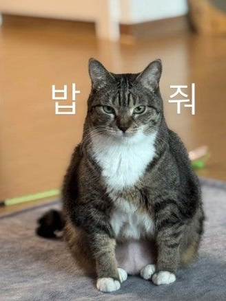 칠봉지 대표 이미지