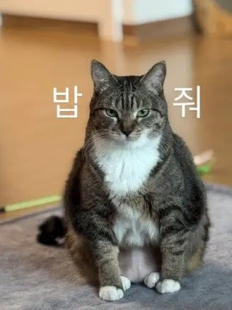 Mon2025의 칠봉지