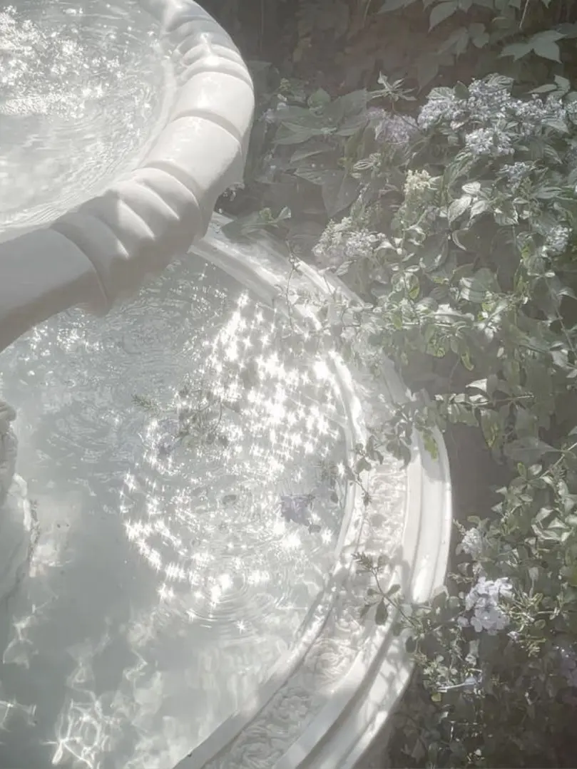 applepie_000의 𝔨𝔲𝔢𝔢𝔫...¿