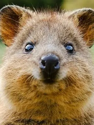 NeedySnow4650의 한지성