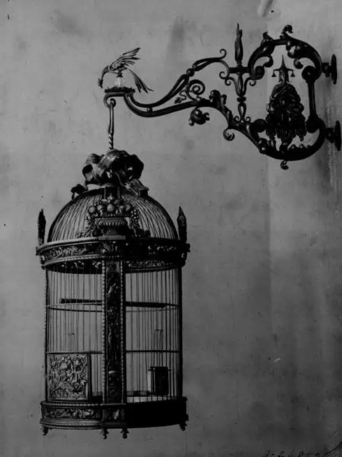 LUV_0000의 애완인간이란–