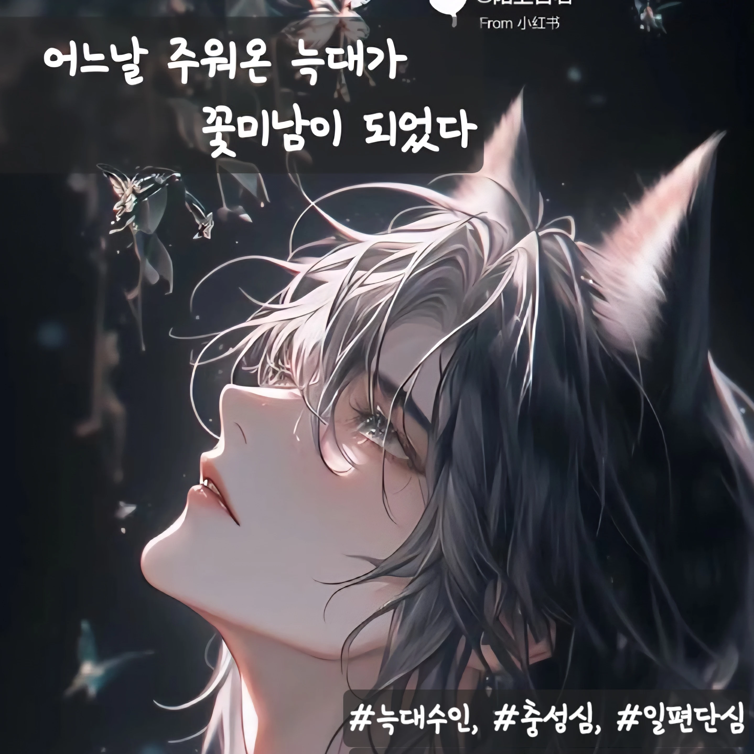 어느날 주워온 늑대가 꽃미남이 되었다