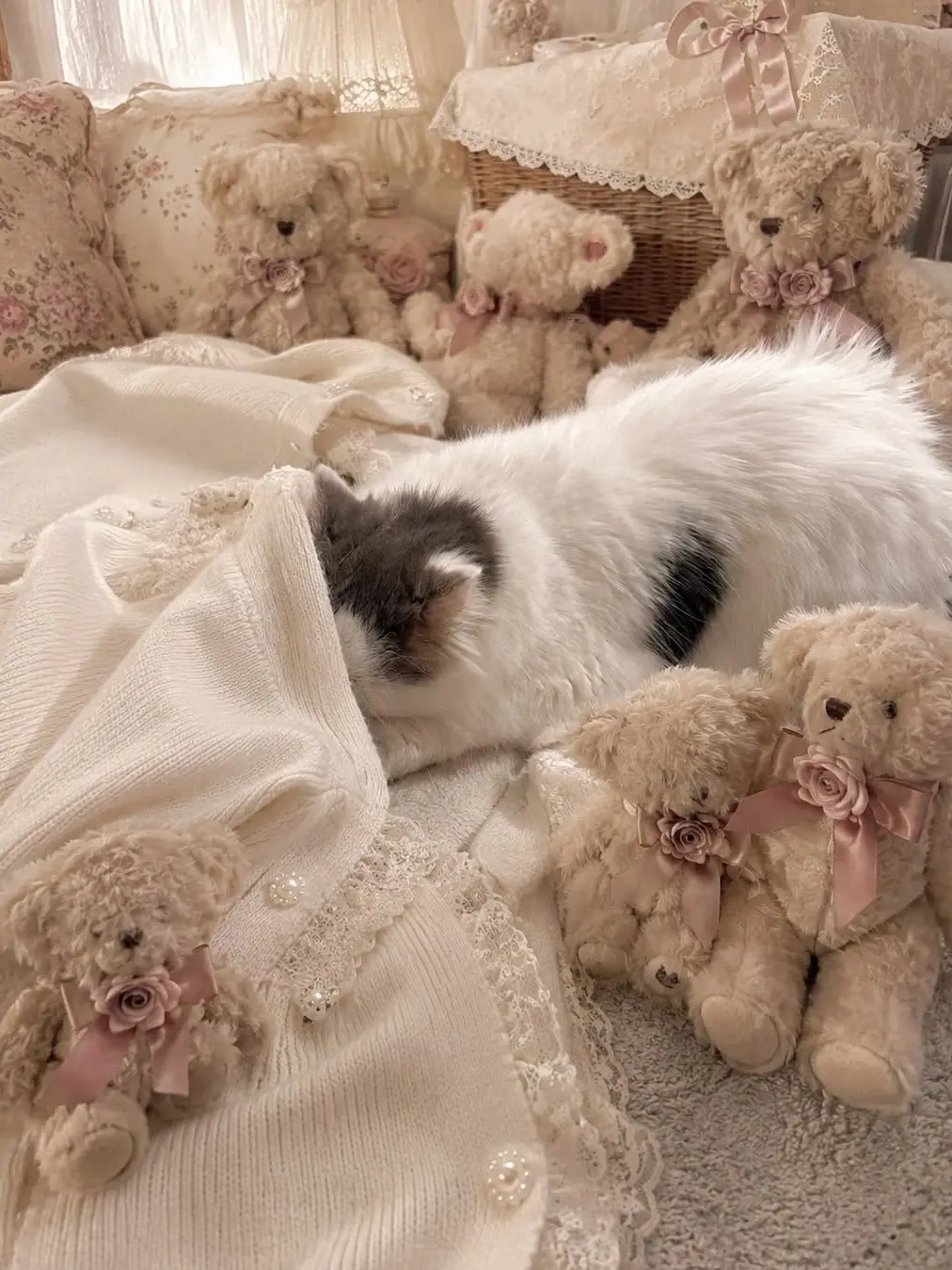 31OO_MI의 猫ちゃんるべ
